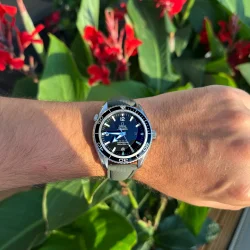 Sailcloth Gummirem med Foldespnde - Grn