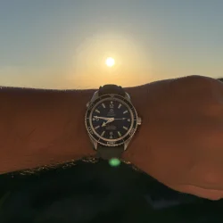 Sailcloth Gummirem med Foldespnde - Grn